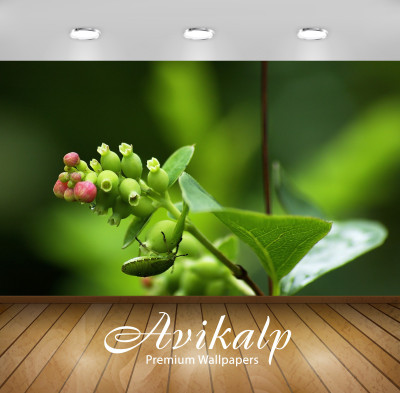 

Avikalp Nature Wallpaper(60.96 cm X 91.44 cm)