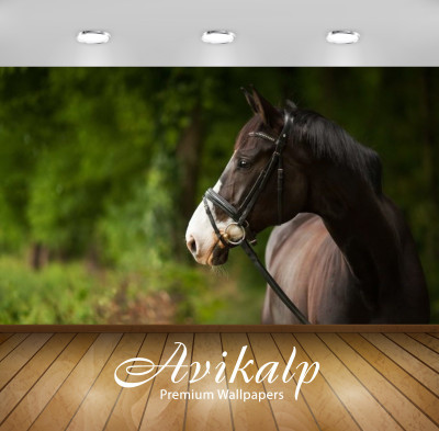

Avikalp Nature Wallpaper(60.96 cm X 91.44 cm)
