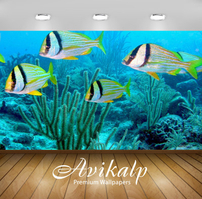 

Avikalp Nature Wallpaper(60.96 cm X 91.44 cm)