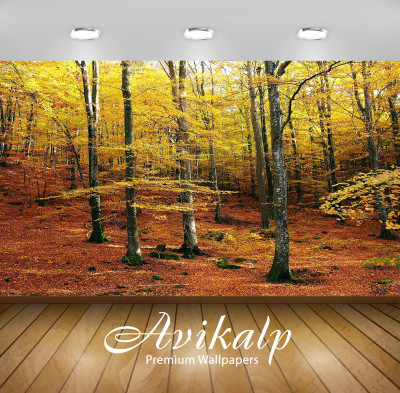

Avikalp Nature Wallpaper(60.96 cm X 91.44 cm)