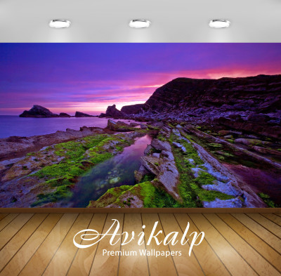 

Avikalp Nature Wallpaper(60.96 cm X 91.44 cm)