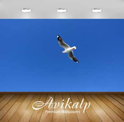 

Avikalp Nature Wallpaper(60.96 cm X 91.44 cm)