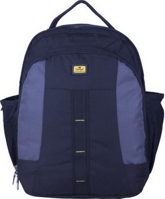 

Liviya SB-546 28 L Backpack(Black, Grey)