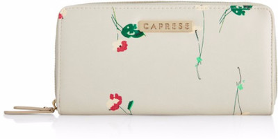 

Caprese Casual Pink Clutch