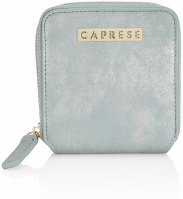 

Caprese Casual Blue Clutch