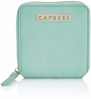 

Caprese Casual Blue Clutch