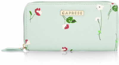 

Caprese Casual Blue Clutch