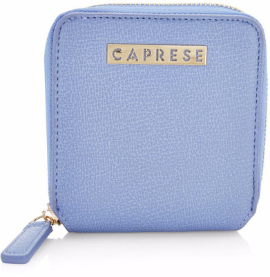 

Caprese Casual Blue Clutch