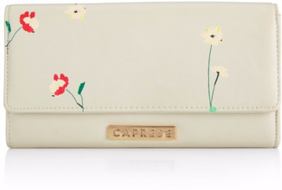 

Caprese Casual Pink Clutch