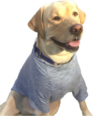 Wagging Fashion T-shirt for Dog(Blue)