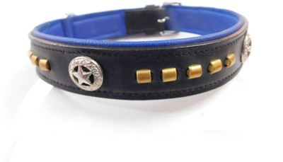 

Skora 100% Genuine 1.25 inch Leather with designer studs Dog Everyday Collar (, Black) Dog Everyday Collar(, black, blue