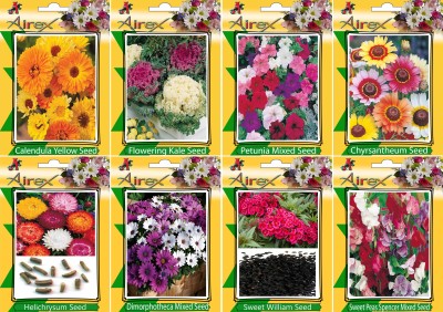 Airex Calendula Yellow, Flowering Kale, Petunia Mixed, Chyrsantheum, Helichrysum, Dimorphotheca Mixed, Sweet William, and Sweet Peas Spencer Mixed Seed(25 per packet)