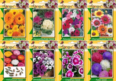 Airex 1 Packet Of Calendula Yellow, Flowering Kale, Petunia Mixed, Chyrsantheum, Helichrysum, Dimorphotheca Mixed, Dianthus, and Aster Seed(20 per packet)