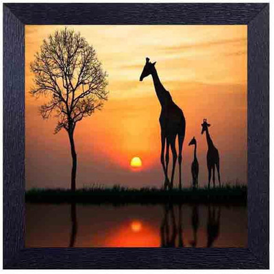 

sunset with beautiful trees and giraffe Photographic Paper(14 inch X 14 inch, Framed)