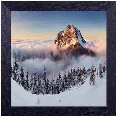 

iced covered tree and mountains Photographic Paper(14 inch X 14 inch, Framed)