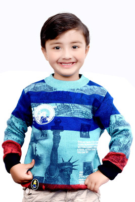 AD & AV Printed Round Neck Casual Boys Multicolor Sweater