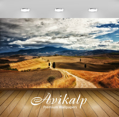 

Avikalp Nature Wallpaper(60.96 cm X 91.44 cm)