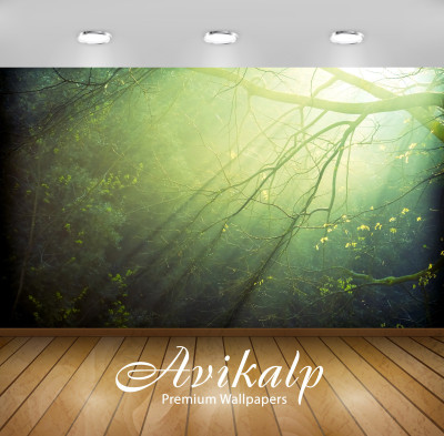 

Avikalp Nature Wallpaper(60.96 cm X 91.44 cm)