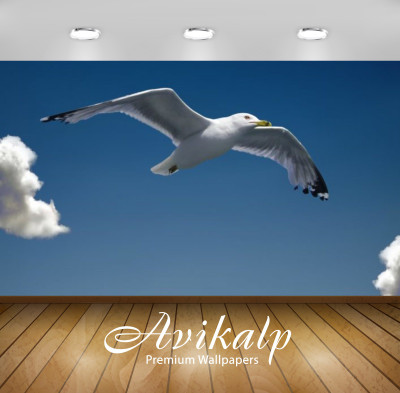 

Avikalp Nature Wallpaper(60.96 cm X 91.44 cm)