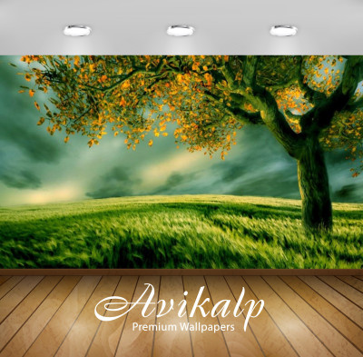 Avikalp Nature Wallpaper(60.96 cm X 91.44 cm)
