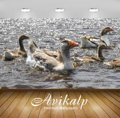 

Avikalp Nature Wallpaper(60.96 cm X 91.44 cm)