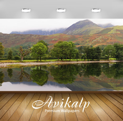 

Avikalp Nature Wallpaper(60.96 cm X 91.44 cm)