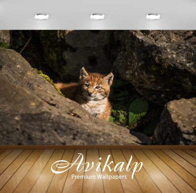 

Avikalp Nature Wallpaper(60.96 cm X 91.44 cm)