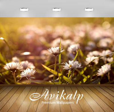

Avikalp Nature Wallpaper(60.96 cm X 91.44 cm)