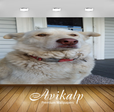 Avikalp Nature Wallpaper(60.96 cm X 91.44 cm)