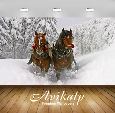 

Avikalp Nature Wallpaper(60.96 cm X 91.44 cm)