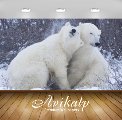 

Avikalp Nature Wallpaper(60.96 cm X 91.44 cm)