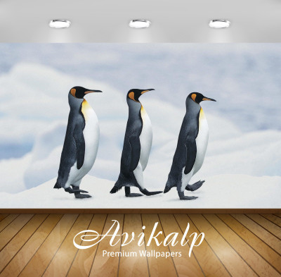 

Avikalp Nature Wallpaper(60.96 cm X 91.44 cm)