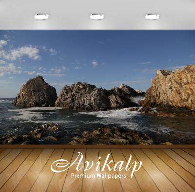 

Avikalp Nature Wallpaper(60.96 cm X 91.44 cm)