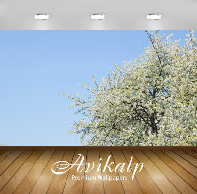 

Avikalp Nature Wallpaper(60.96 cm X 91.44 cm)