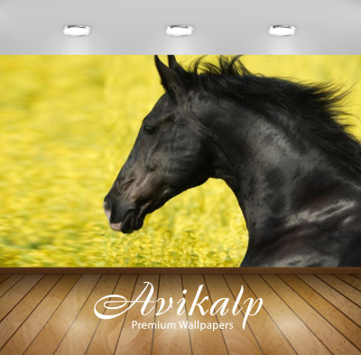 Avikalp Nature Wallpaper(60.96 cm X 91.44 cm)
