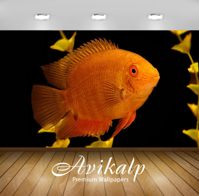 

Avikalp Nature Wallpaper(60.96 cm X 91.44 cm)