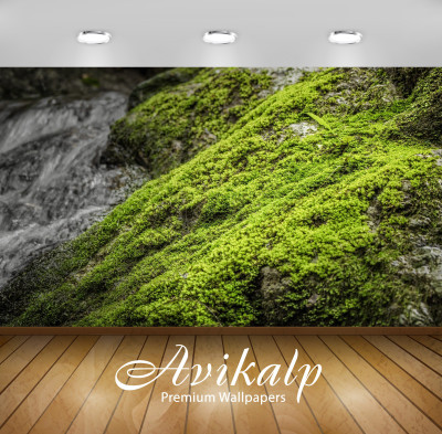 

Avikalp Nature Wallpaper(60.96 cm X 91.44 cm)