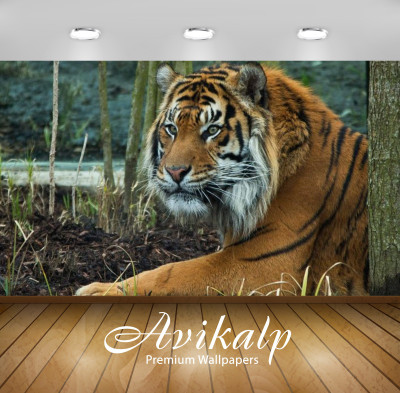 

Avikalp Nature Wallpaper(60.96 cm X 91.44 cm)