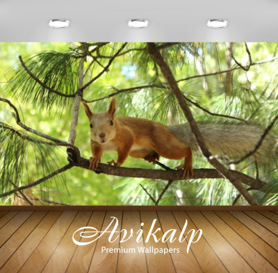 

Avikalp Nature Wallpaper(60.96 cm X 91.44 cm)