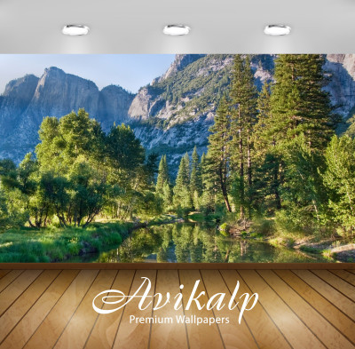 

Avikalp Nature Wallpaper(60.96 cm X 91.44 cm)