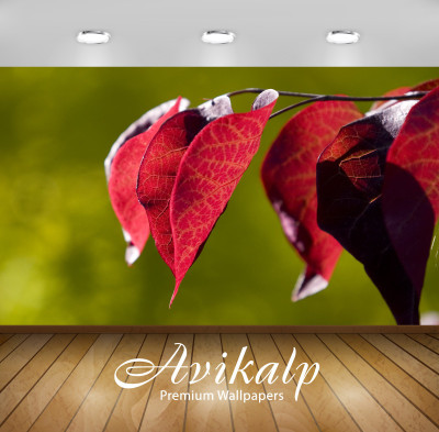 

Avikalp Nature Wallpaper(60.96 cm X 91.44 cm)