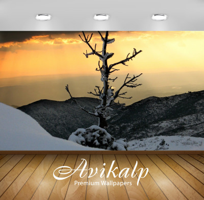 

Avikalp Nature Wallpaper(60.96 cm X 91.44 cm)