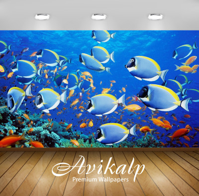 

Avikalp Nature Wallpaper(60.96 cm X 91.44 cm)