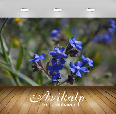 

Avikalp Nature Wallpaper(60.96 cm X 91.44 cm)