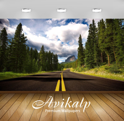 

Avikalp Nature Wallpaper(60.96 cm X 91.44 cm)