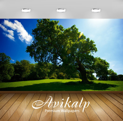

Avikalp Nature Wallpaper(60.96 cm X 91.44 cm)