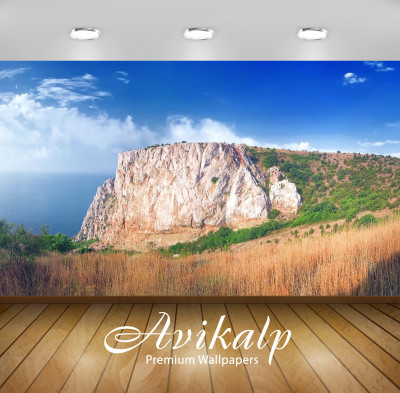 

Avikalp Nature Wallpaper(60.96 cm X 91.44 cm)