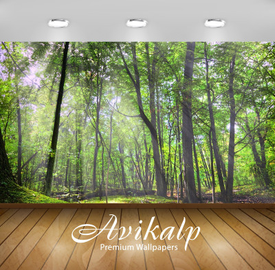 

Avikalp Nature Wallpaper(60.96 cm X 91.44 cm)