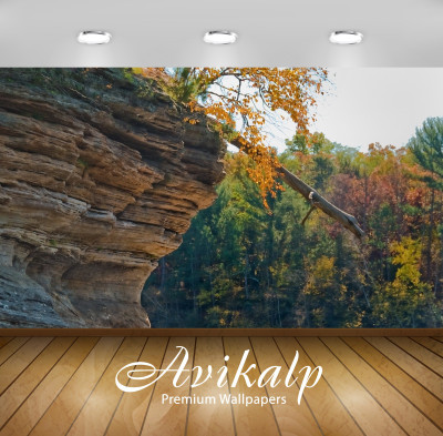 

Avikalp Nature Wallpaper(60.96 cm X 91.44 cm)
