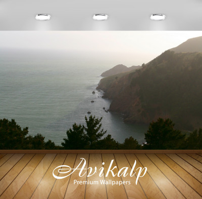 

Avikalp Nature Wallpaper(60.96 cm X 91.44 cm)